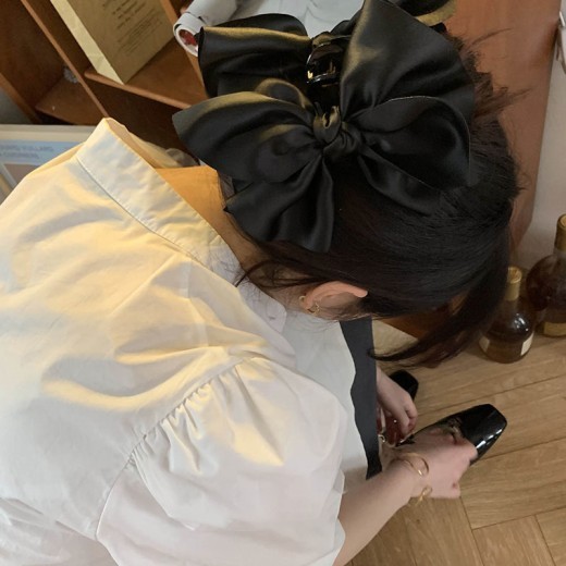 Back Of The Head Coiffure Korean Clips