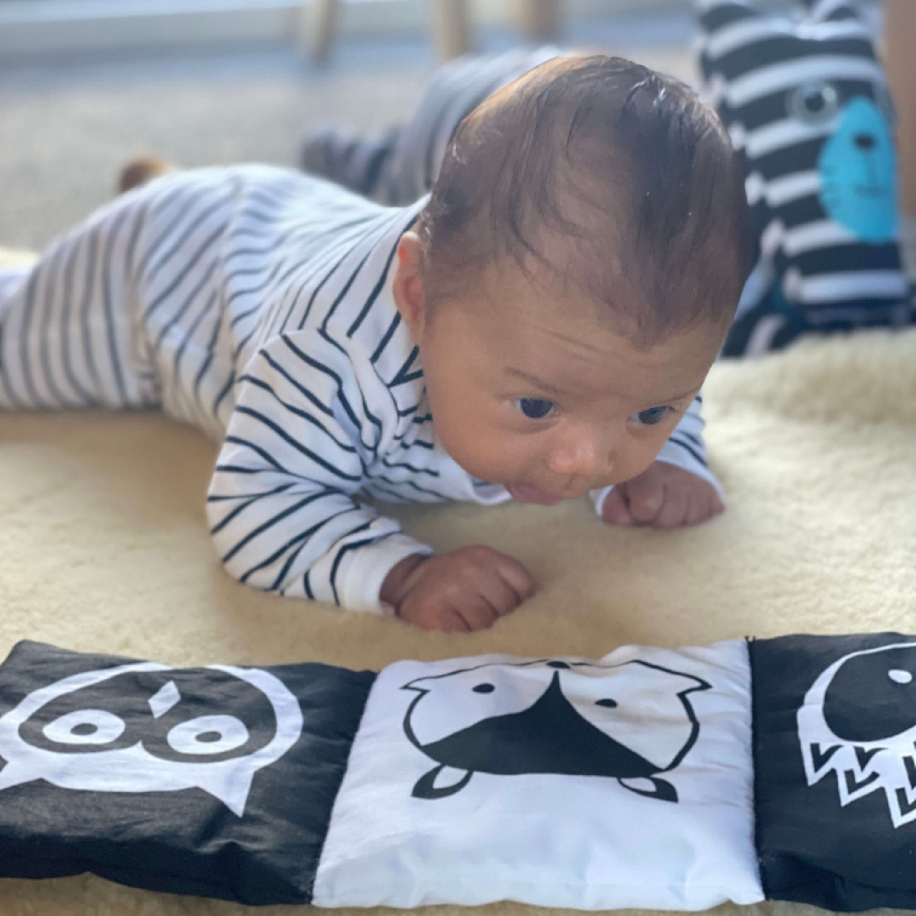 Baby's First Soft Contrast Book | In The Woods