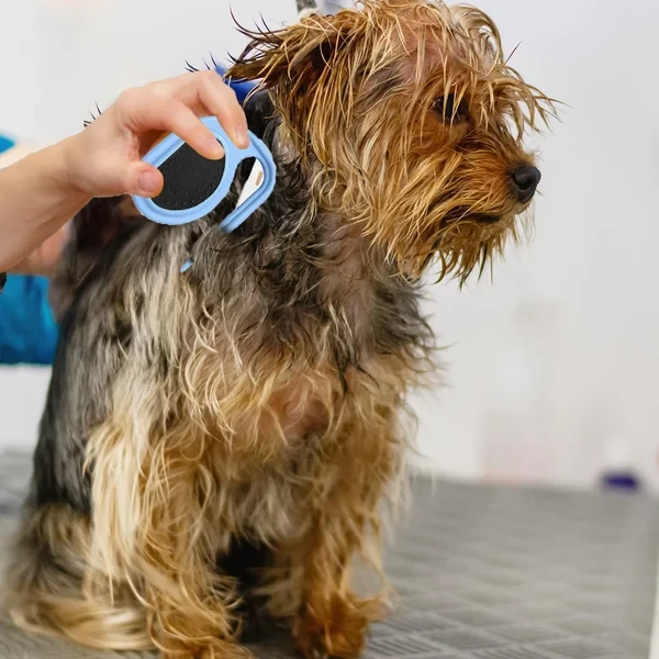 Pet Knotting Comb