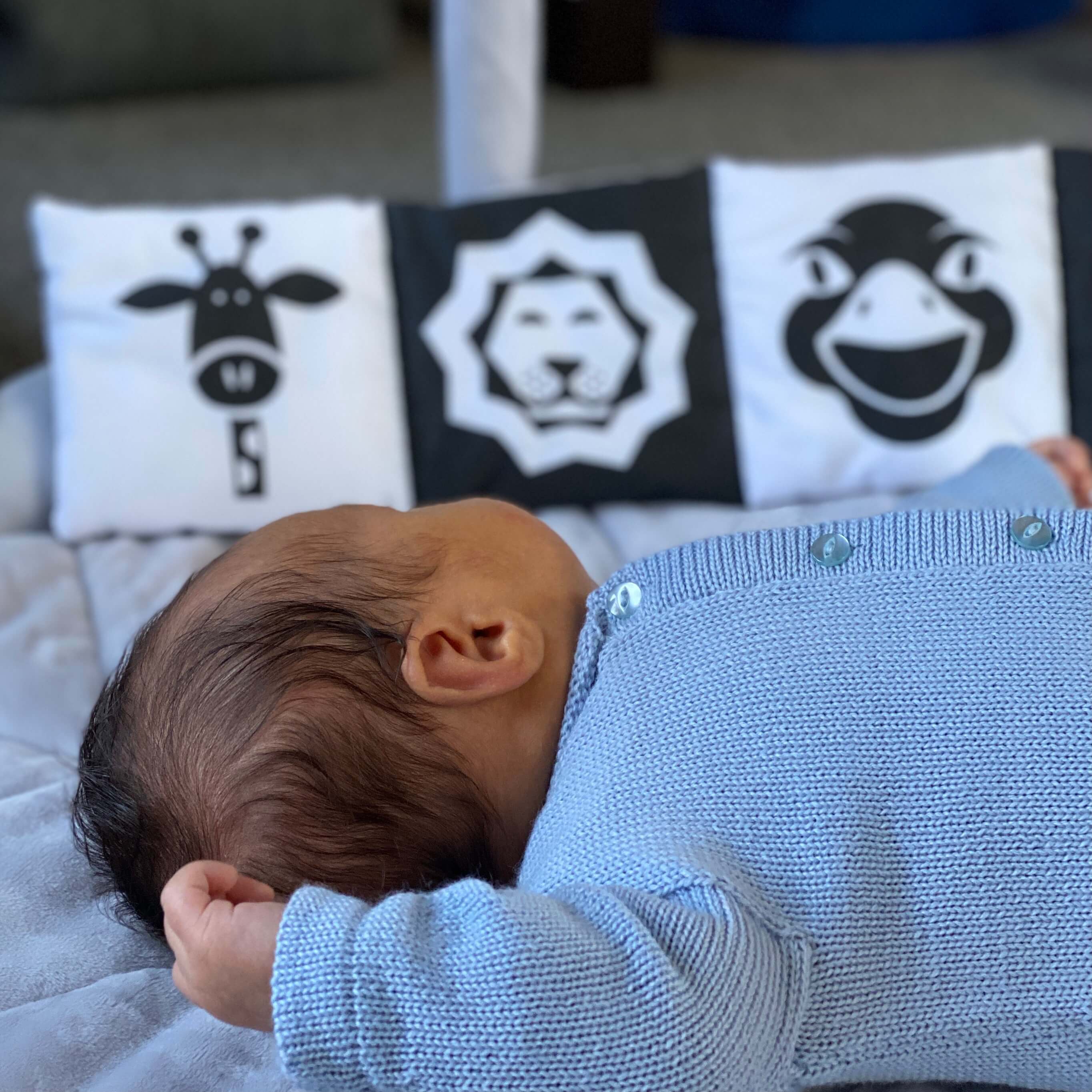 Baby's First Soft Contrast Book | On Safari