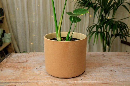 The Fot Pot