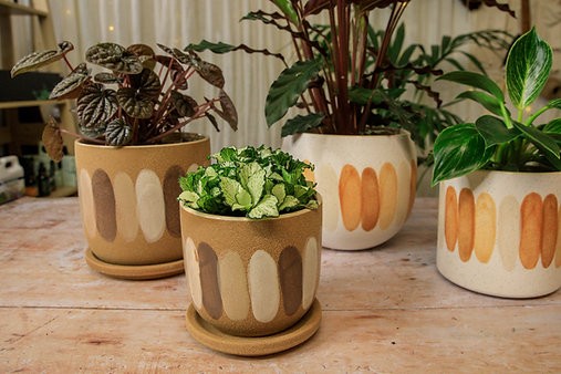 The Jenni Pot