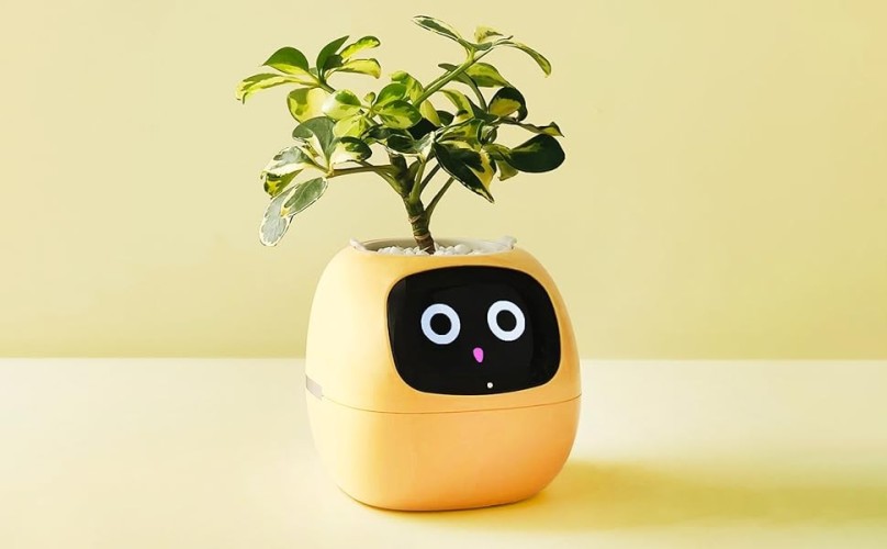 Smart Planter AI Your Secret to Effortless Plant Care