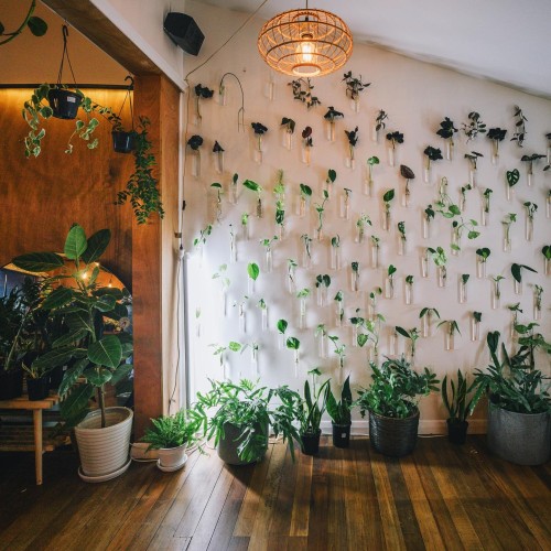Creative Gift Ideas for Mother's Day – No Flowers, No Problem