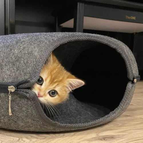 9 Reasons Why This Donut Tunnel Bed Is On Every Cat Parent's 2024 Wishlist 🎉